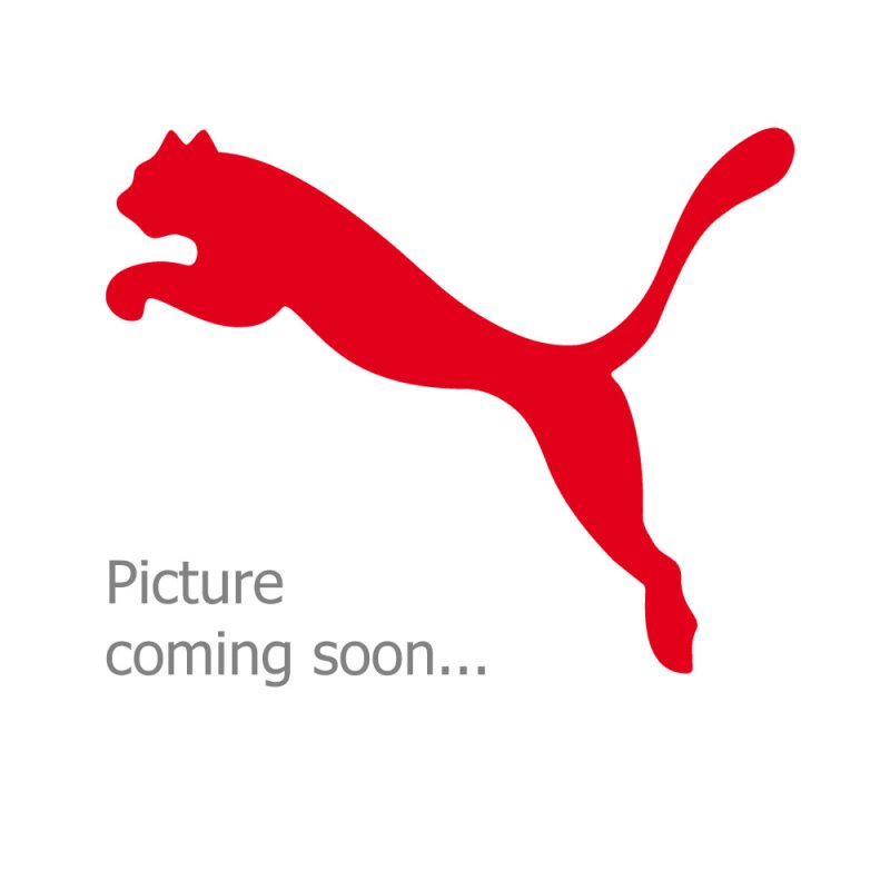 Puma teamRISE Poly Training Pants