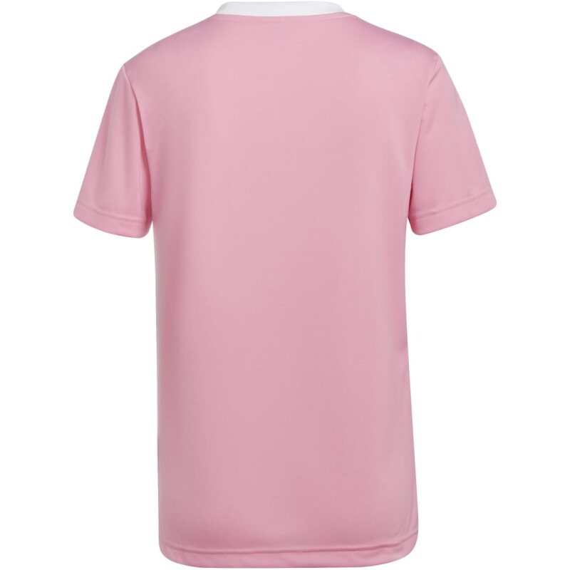 Adidas Entrada 22 Trikot Damen semi pink glow XL