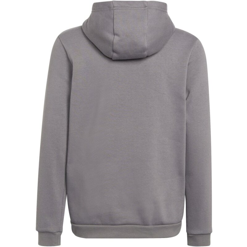 Adidas Entrada 22 Sweat Hoodie Kinder team grey four 164
