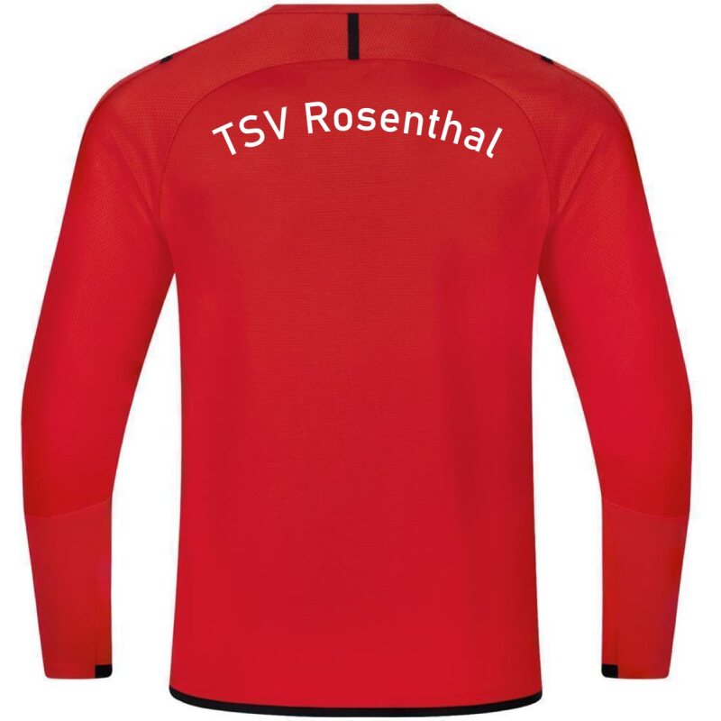TSV Rosenthal JAKO Sweat