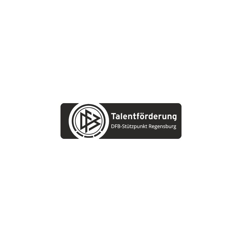 DFB Stützpunkt Regensburg Logo klein Druck schwarz