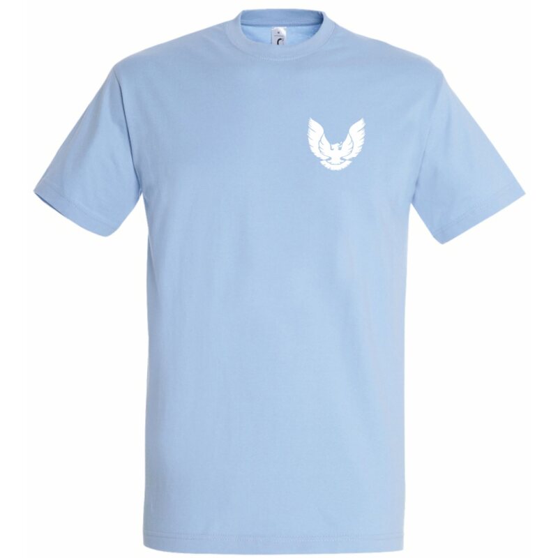 Regensburg Phoenix T-Shirt NO MATTER WHAT M
