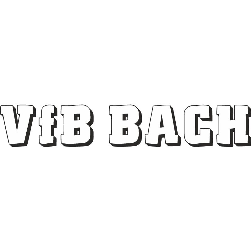 VfB Bach Motiv Schriftzug mittel Druck mehrfarbig