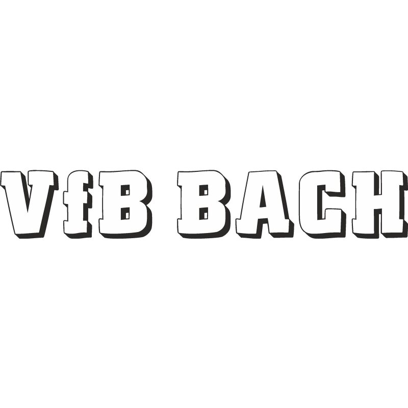VfB Bach Motiv Schriftzug groß Druck mehrfarbig