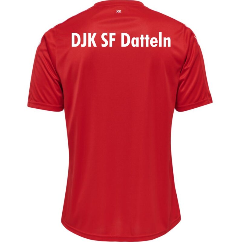 DJK Sportfreunde Datteln Volleyball Hummel Trikot rot
