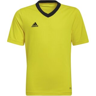 team yellow