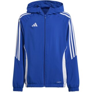 ROYBLU/WHITE