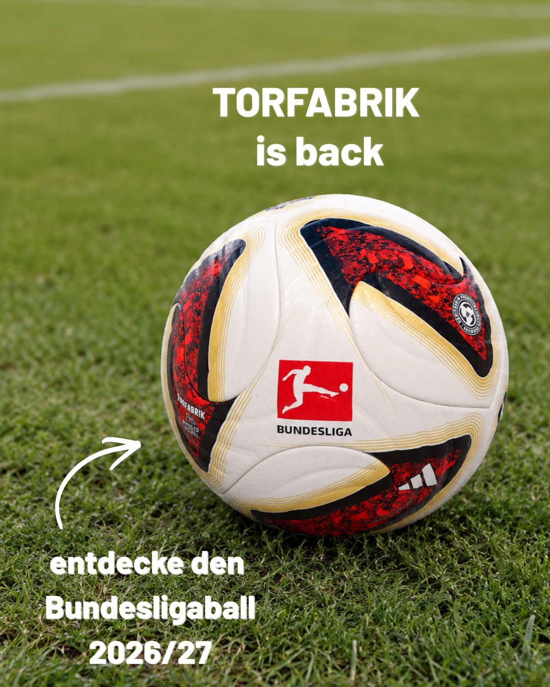 TORFABRIK.jpg